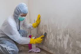 Best Mold Odor Removal Services  in Twin Grove, IL